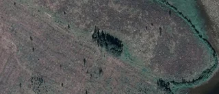 Nya ägarna ärver mark i Kalix kommun