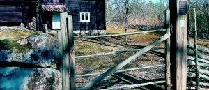 Geologi tema vid Öppet hus
