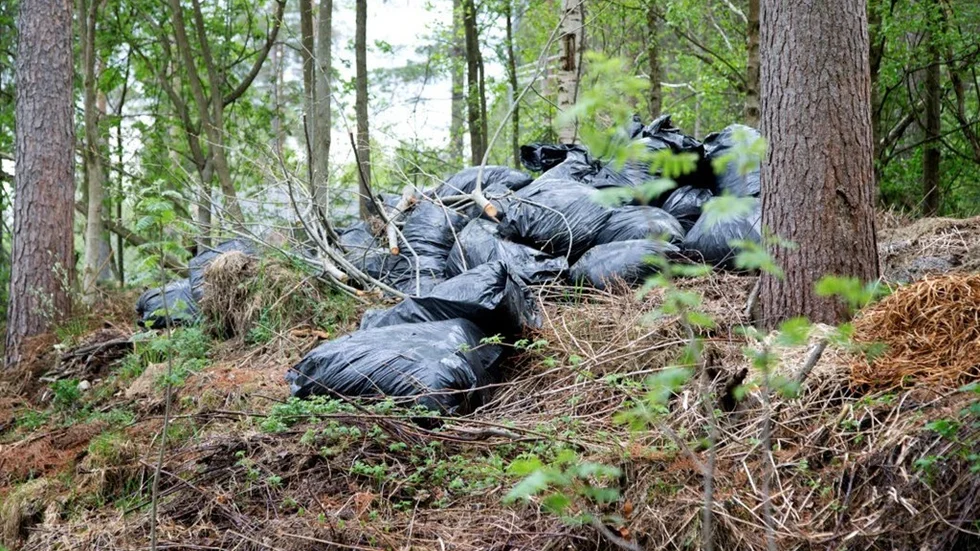 Vem har dumpat ett 30-tal svarta plastsäckar fyllda med trädgårdsavfall i skogen intill bostadsområdet Svartudden i Piteå?