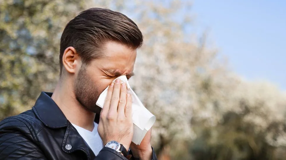 Nysningar, snuva och kliande ögon. Cirka 25 procent av svenskarna är pollenallergiker, enligt Astma- och Allergiförbundet.