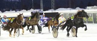 Varannan damernas i Boden