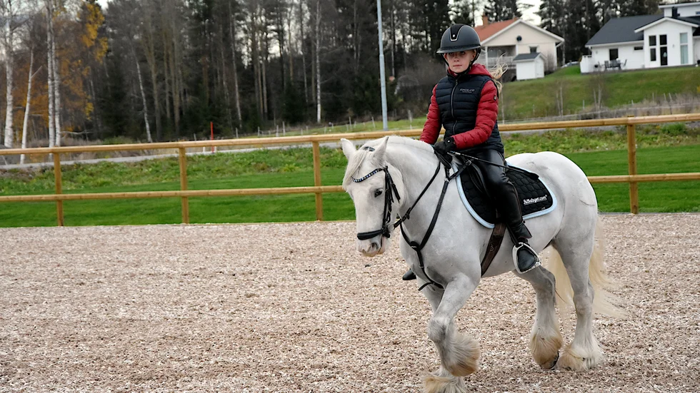 Till helgen avgörs Kurirenspelen ute på Hertsön. Klara Grönlund, 11, från Luleå Ridklubb kommer ställa upp med två hästar. Här förbereder hon sig på hästen Dimma under fredagseftermiddagen.