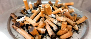 Allt fler drabbas av allergier