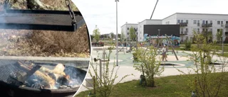 Medborgarförslaget: Grillplats i Honnörsparken • ”Trevligt att kunna tillaga något att äta”