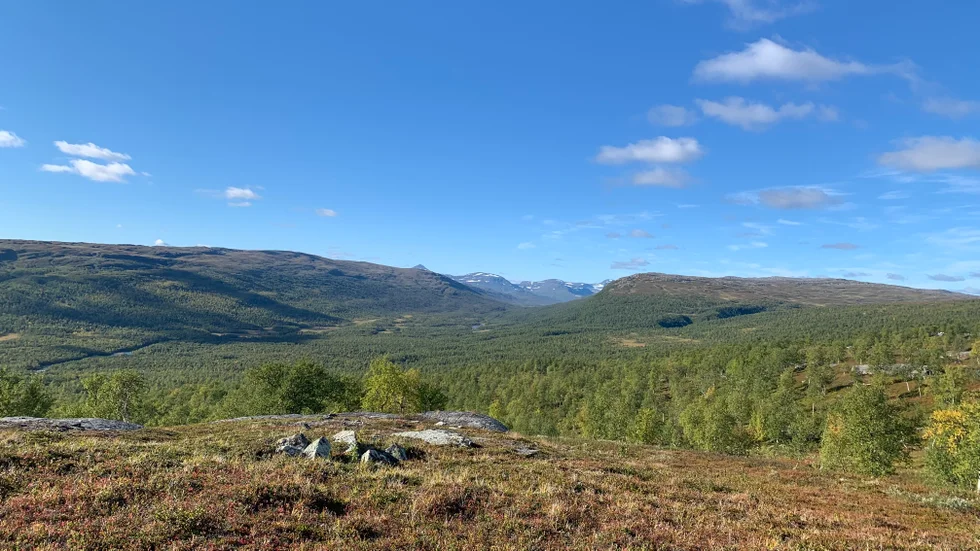 Ett sällskap jagade i ett område runt Vuoggatjålme när en 55-årig man träffades av en hagelsvärm. (Arkivbild)