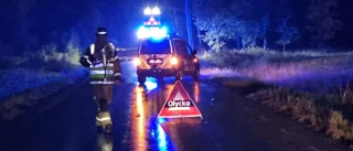 Polisens natt: Två älgolyckor – en efter E 4