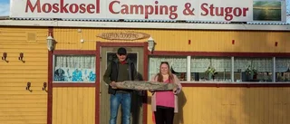 Drömmen om lugnet blev sann