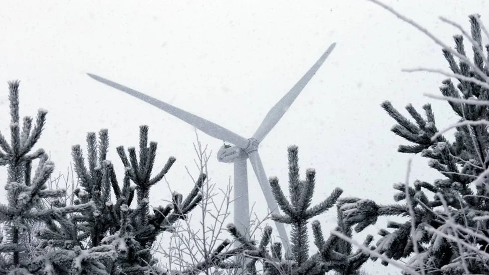 VINDSNURROR. Enercon lättar på pausknappen och bygger 26 vindkraftverk i Ersträsk i år, och 51 verk nästa år.