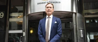 Näringslivet kan aldrig få fria tyglar