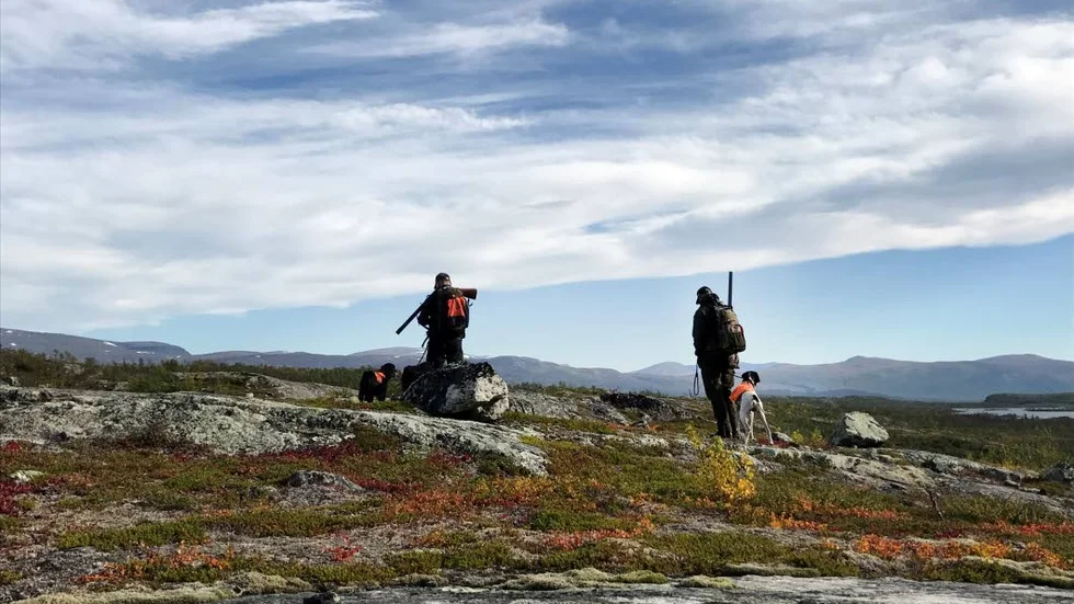 Den dödliga hundsjukdomen i Norge oroar jägarna i Norrbotten, som inte vill att norska jägare ska komma hit. (Arkivbild)
