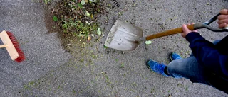 Jag lyckades fly från gårdsstädningen – men skrattar bäst som skrattar sist, nu sitter jag här med skadad tumme och skäms: "Föreningens fuckboy"