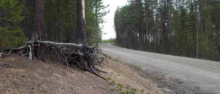 Faller, faller inte – det är frågan