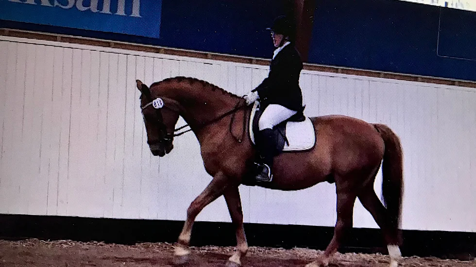 Hanna Lagerquist hoppas på framgångar även i Tyskland, men säger att hon är en vinnare oavsett hur det går. "Går det inte bra så har jag ändå fått uppleva Berlin och Tyskland, som jag inte kommer att kunna besöka annars".