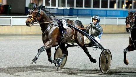 IMPONERANDE. Nova Töll, körd av John Östman och tränad av Kari Vaaraniemi, imponerade på Peabtravet när ekipaget vann V64-3.