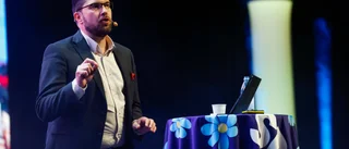 Åkesson gör mig förvånad och besviken