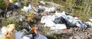 Nedskräpning ett ökande problem