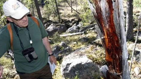 Ove Persson, här på besök i Rävabackens naturreservat, vädjar till sommarstugeägare att avstå från att "städa" i strandskogarna. (Arkivbild)