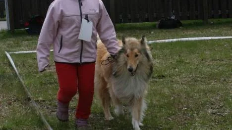 Tilda Nilsson och Smilla ställde upp i klassen Barn med hund - och vann första pris!