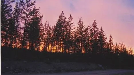 En sommarnatt vid Bränntjärn, efter Björkbergsvägen, Älvsbyn