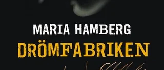 Vass samhällsskildring