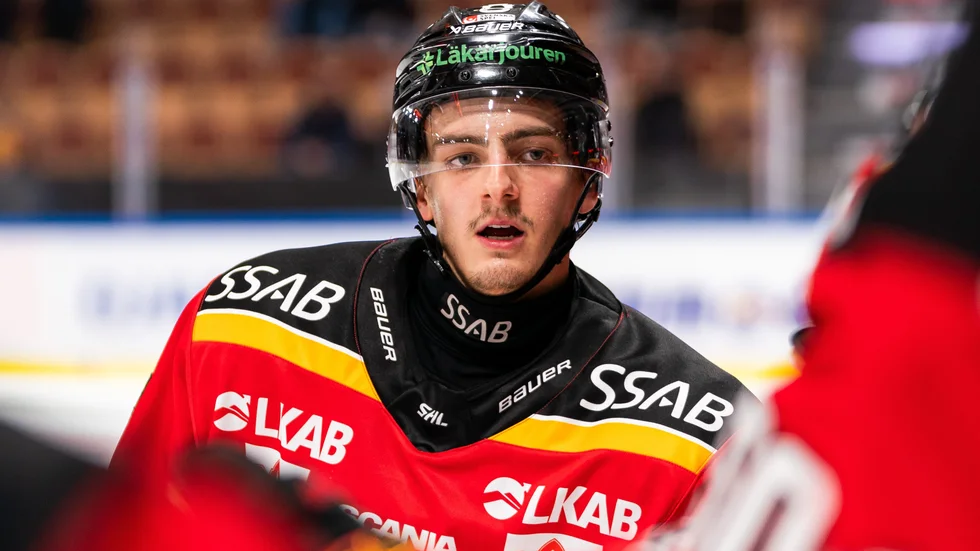 "Vi är många som är oerhört upprörda och besvikna", säger Luleåfans ordförande Tobias Wahlroos.