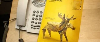 Piteå saknas i katalogen - kommunen sparar