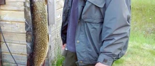 Patrik leder överlägset