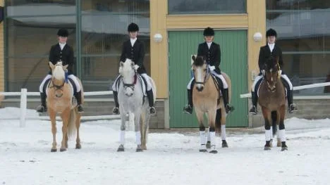 Piteå Ridklubbs dressyrlag fick en smakstart i premiären. Från vänster: Lisa Stare/Riida, Sofia Forssman/Miramis, Josefin Nordlund/Backudden Hurricane Haze och Elin Lundman/ Marwin.