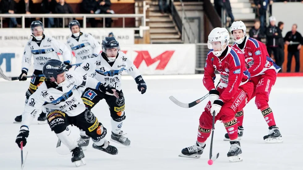 Styrkebeskedet. Kalix Bandys Simon Viklund och Johan Sundquist kan blicka tillbaka på en succéhelg med två tunga skalper.