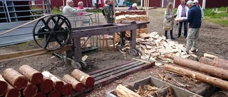 Forskarförening utforskade Storsien