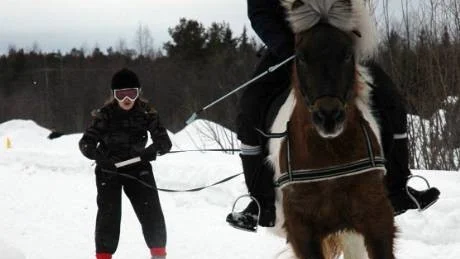 BRA BALANS. Islandshästen Bassi trampade iväg allt vad tygen höll men Hanna Nilsson höll balansen på de små skidorna. Frida Persson satt i sadeln. Foto: kenth Bergmark