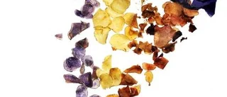 Se upp för farligt fett i chipspåsen