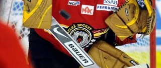 Luleå Hockeys tjecker är inga duvungar