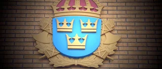 Andra gör polisens jobb