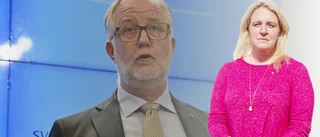"I den värld jag kände, och begrep, var liberaler alltjämt liberaler och höll stånd mot sverigedemokrater"