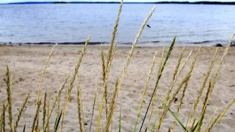 DÅLIG BADSOMMAR. Sommaren 2008 bjöd inte på många varma dagar på stranden.