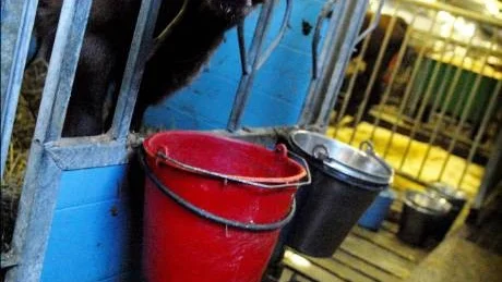 AVRÄKNINGSPRISET SÄNKS. För ett halvår sedan höjde Norrmejerier avräkningspriset till bönderna för att få fler att investera i verksamheten. Nu sänks priserna igen. Från den 1 augusti kommer bönderna att få 15 öre mindre per kilo för den mjölk de levererar till mejeriet.
