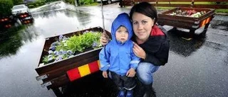 LLT polisanmäls för skadad blomlåda