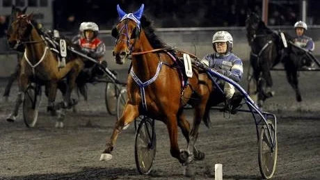 LYCKAD KVÄLL. Erik Adielsson hade flytet med sig under gårdagens Björnkampen, i Boden, som han vann. Här på hästen Donna Sarina i V65-5.