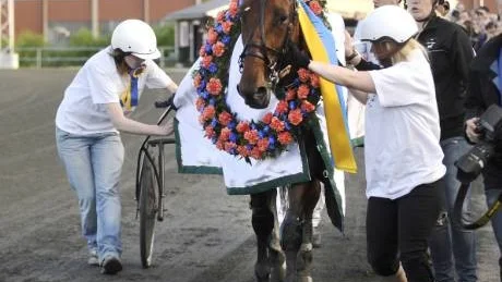 Dominant. Santiy och kusken Johnny Takter hade fullkontroll på 75-3-loppet. Det blev seger för stjärnduon. Foto: Mats Bengtsson
