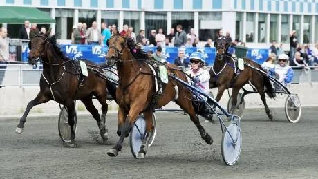 ÖVERRASKNING. Kenseth Hanover vann V4-4 med Gunnel Fredriksson, trots att hästen gav 22 i odds.