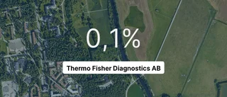 Resultatkurvan – en jobbig läsning för ägaren av Thermo Fisher