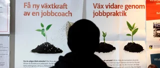 Arbetslösheten bland unga minskar