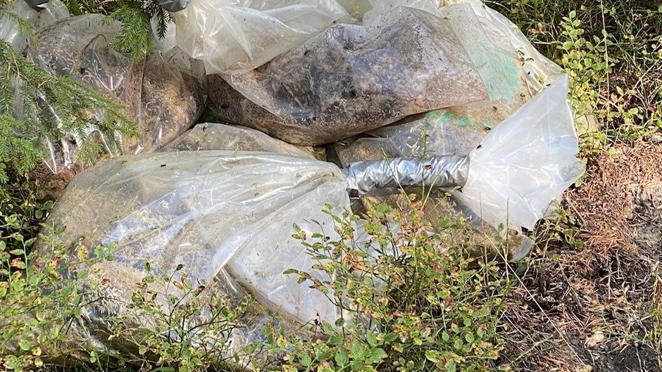 För andra gången på kort tid har slaktdelar dumpats i Hällby. I båda fallen misstänks djurdelarna komma från får.