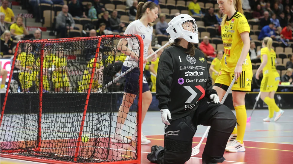 Endre föll mot Täby med 3-4 efter förlängning.
