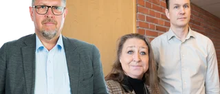 Bra initiativ från Centerpartiet i Luleå