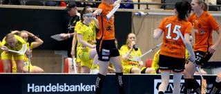 Fem spaningar från det svängiga mötet i Västerås 