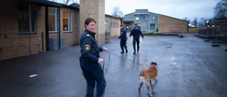 Från folkstorm till storbrand, droger och kärlek – så var 2023 
