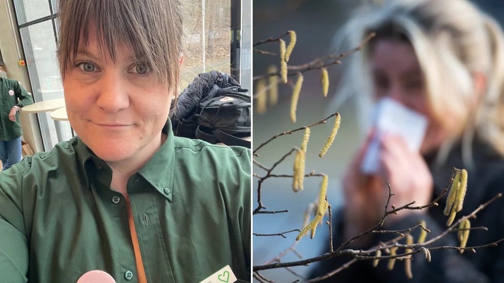 Säsongen för alpollen började redan i februari och halterna var som högst under mars. I slutet av april väntas höga halter av björkpollen ta över. "Försäljningen av pollenmedicin dippar så fort det kommer snö men när den försvinner ökar försäljningen igen", säger Hanna Homman, regionchef på apoteket. 