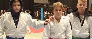 Judobröderna från Oxelösund ordnade varsin silvermedalj